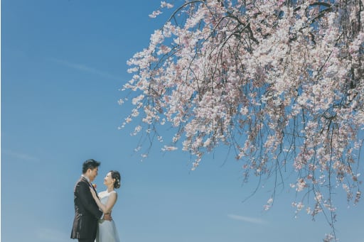 青空と桜