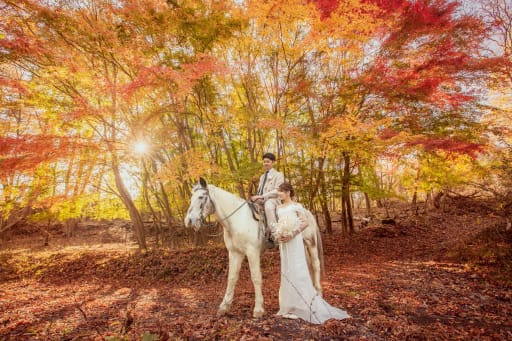 森は美しい紅葉