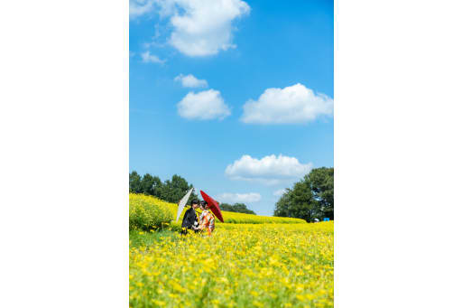 色鮮やかな一枚