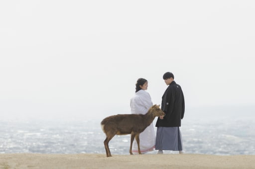 絵になる3ショット