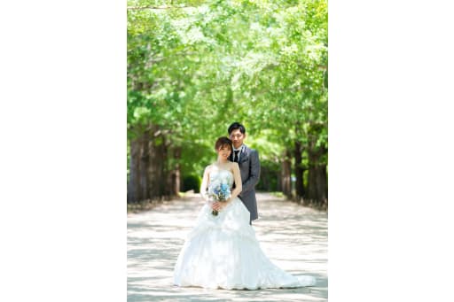 深いグリーンの並木道