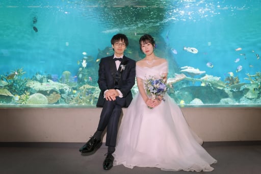 海の宝石箱で