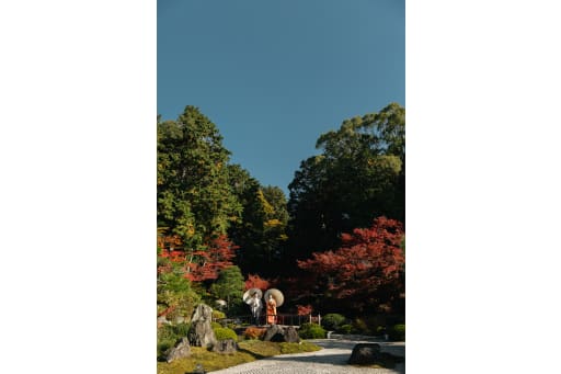 最後は空の高さがよくわかるこのカット