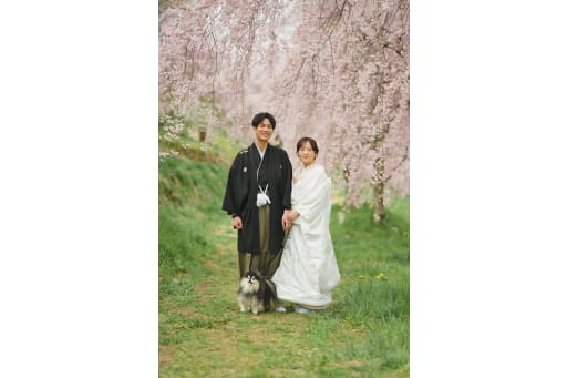桜も満開