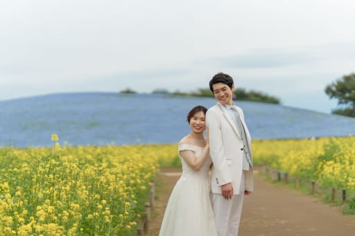 黄色と水色のコントラスト