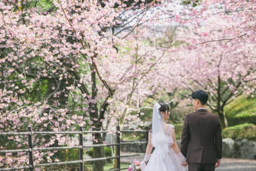 春色に染まる散歩道
