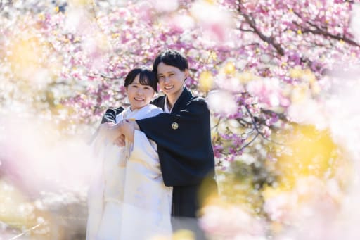 白浜桜