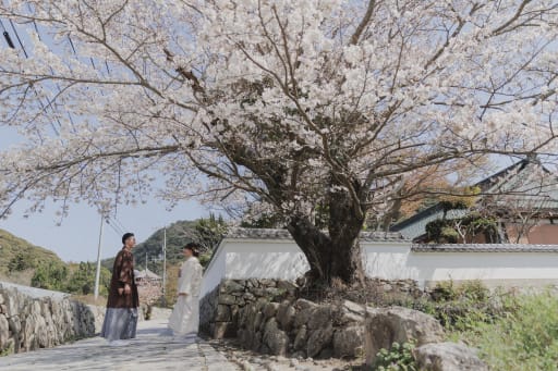 桜も満開！