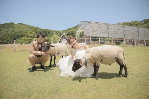 全国でも珍しい羊さんと取れるウエディングフォト！
