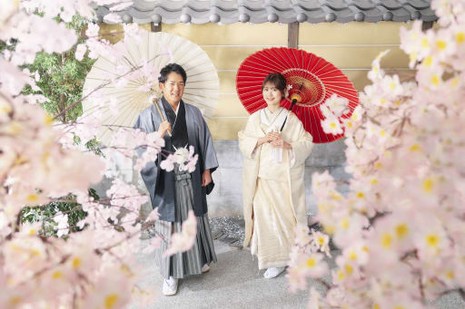 桜並木を