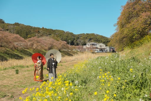 桜と菜の花と