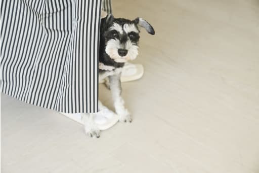 撮影準備中...☺︎