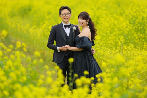 Yellow field