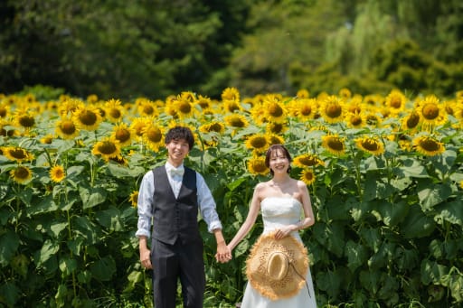 昭和記念公園でひまわり撮影