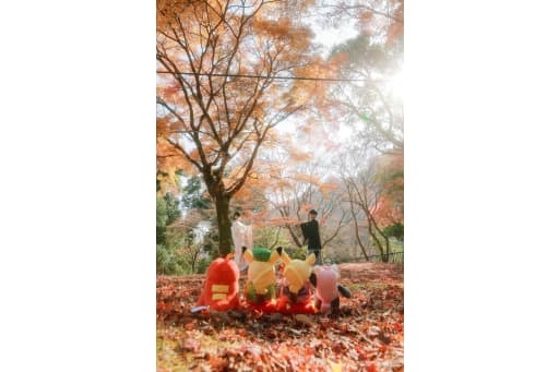  訪れた季節はちょうど秋