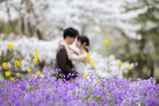  前ボケで魅せる幻想的な世界