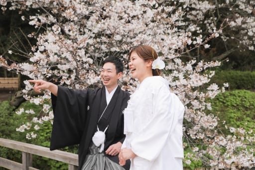 お二人で遠くを見て