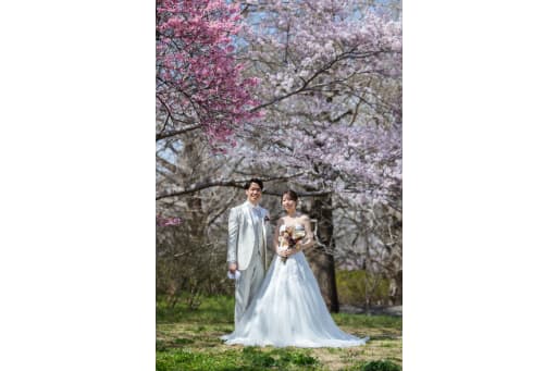 満開の桜に包まれて