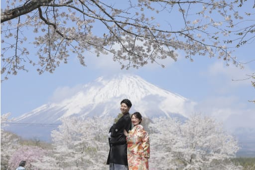 桜と富士山