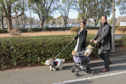 大切なご家族と一緒に。