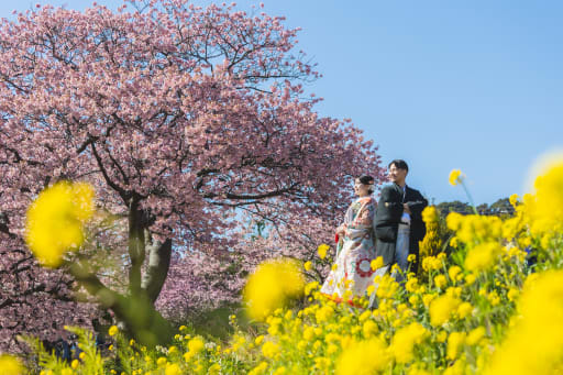 河津桜と菜の花