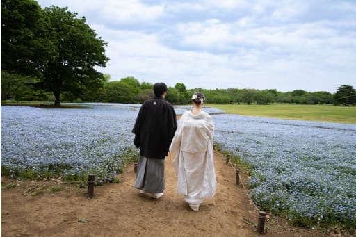 ネモフィラの花畑でお散歩！！後ろ姿を撮影させていただきました！