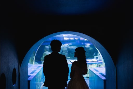しながわ水族館ロケーション