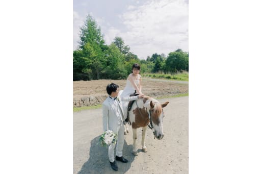 データもたくさん