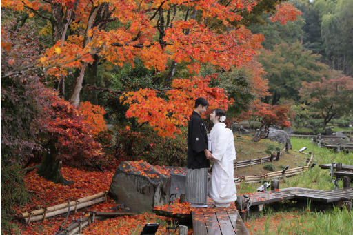 綺麗な紅葉の絨毯ができていたので広い絵で撮影させていただきました！！