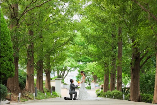 並木道が爽やか