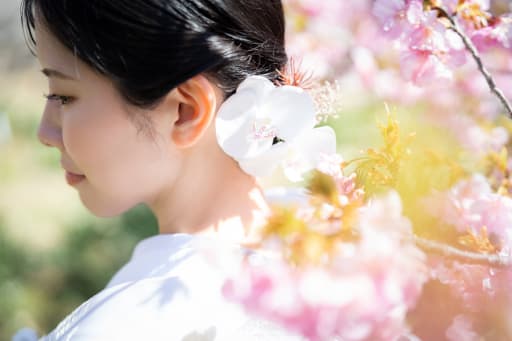 春爛漫写真ができあがります＾＾