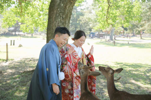 鹿さん