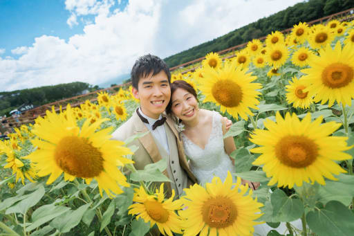 太陽のような黄色い花々に囲まれて、