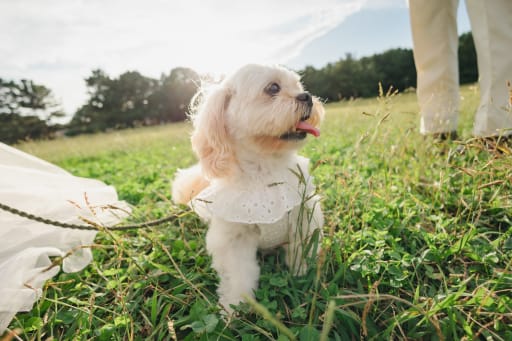 外に出て開放的に！