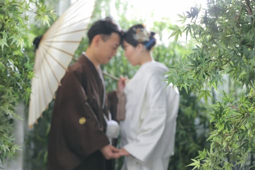 竹林2