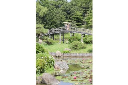 ロケーションの魅力