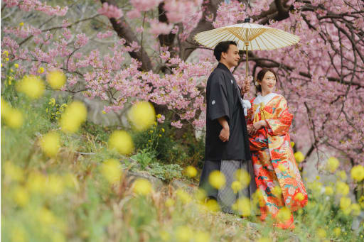 菜の花と