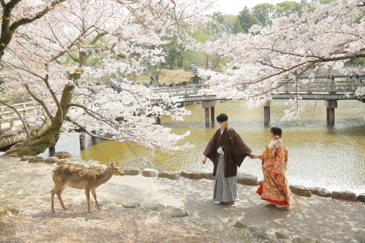 今の季節だけの特別な桜撮影をしましょう♪