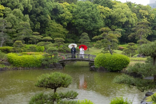 池の中には何がいるかな？？