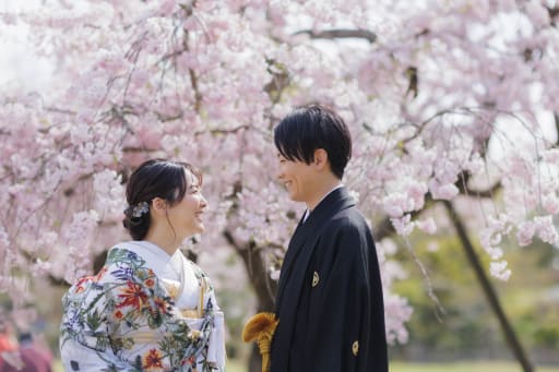 枝垂れ桜が迫力満点です！