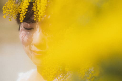 Mimosa Yellow — もうひとつの春の色