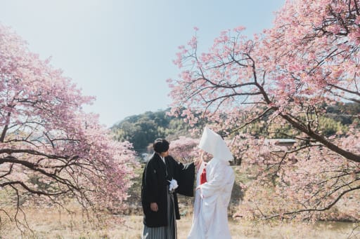 綿帽子をつけて。