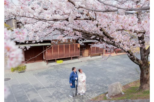 桜の木の下で♪