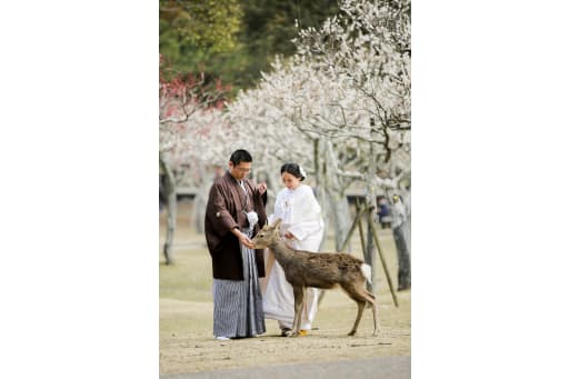 鹿ちゃんもお祝いに来てくれます♪