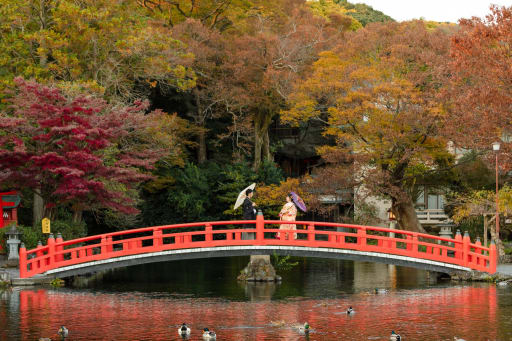 写真婚をお考えの方も増えてます