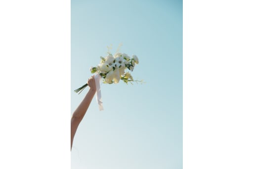 イメージカット