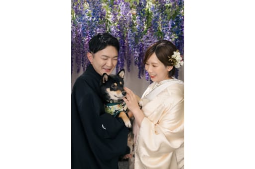柴犬×和装