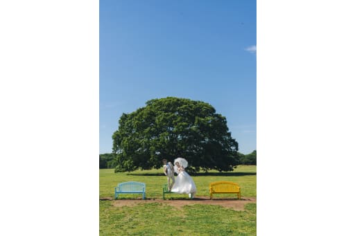 この大きな木の前で撮影してみませんか？？