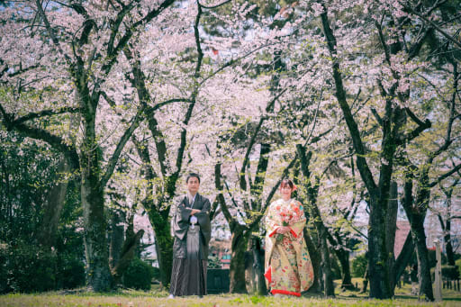 桜満開のロケーション