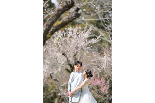 小さな森を抜けて…